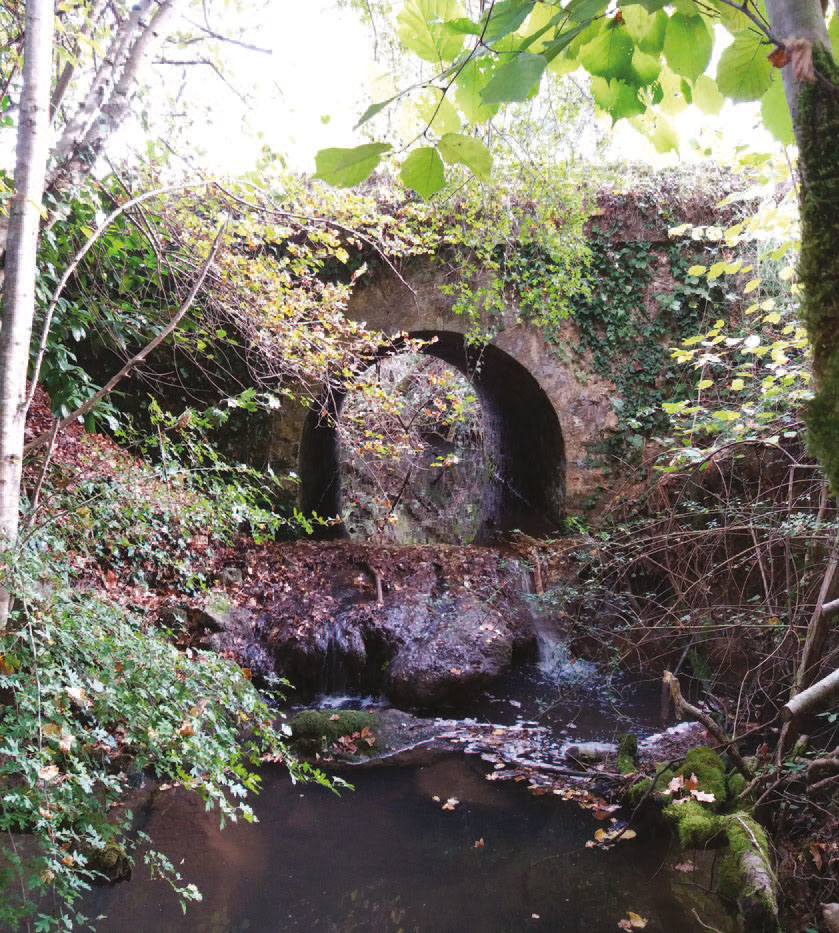 pont de Citon